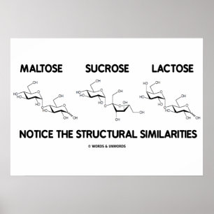 Maltose Sucrose Lactose Structural Similarities Poster