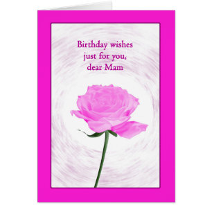 Mam Birthday Beautiful Pink Rose