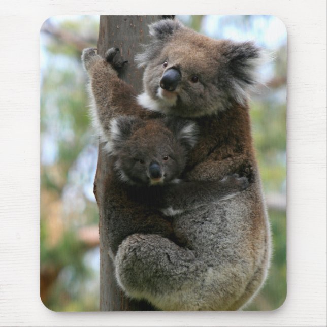 Mama and Baby Koala Mouse Pad (Front)