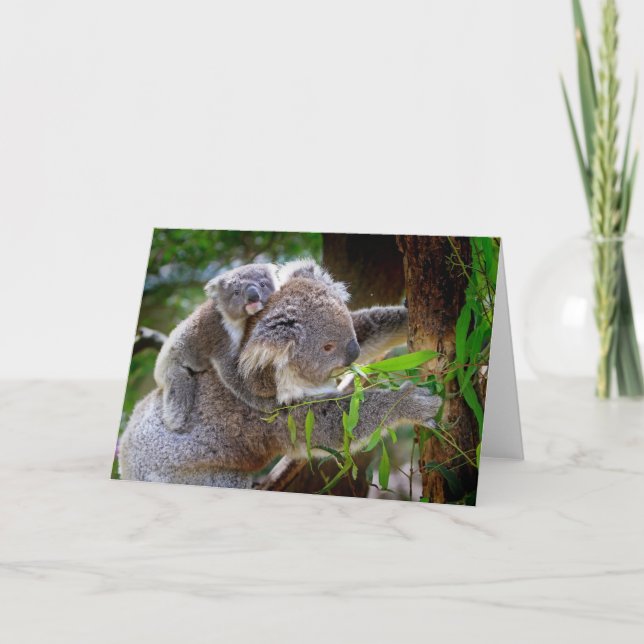 Mama and Baby Koalas Card (Front)