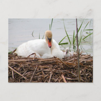 Mama and Me (2) Postcard