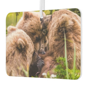 Mama bear nursing her two cubs, Lake Clark Nationa Car Air Freshener