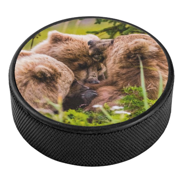 Mama bear nursing her two cubs, Lake Clark Nationa Hockey Puck (3/4)