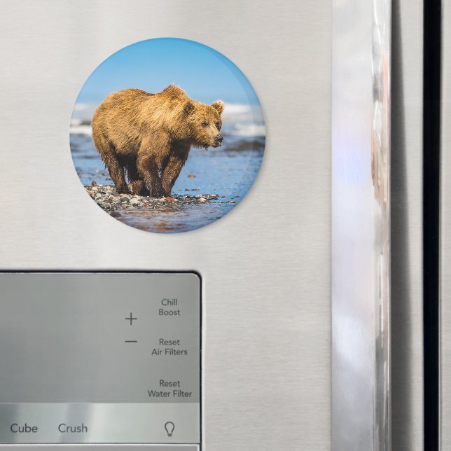 Mama bear watching her two kids magnet (In Situ (Fridge))