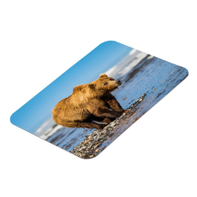 Mama bear watching her two kids magnet (Left Side)