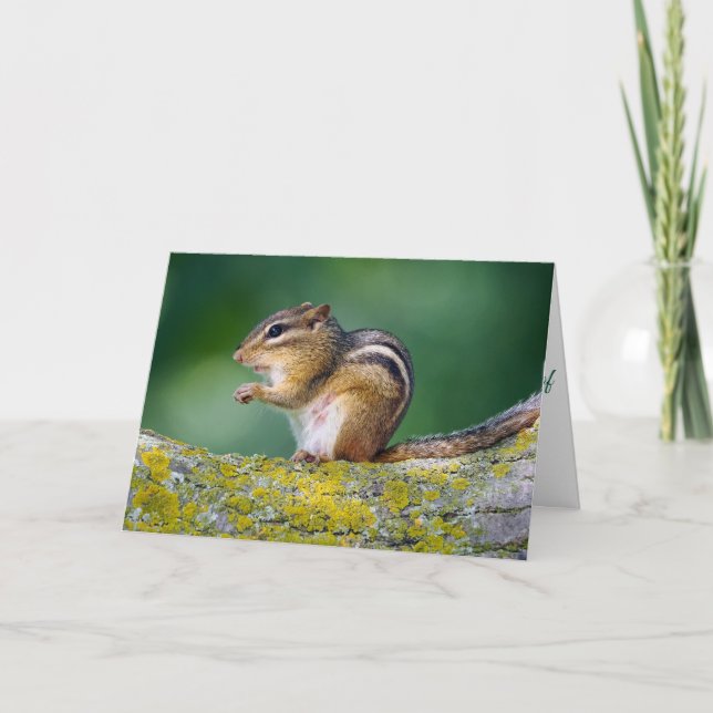 Mama Chipmunk Card (Front)