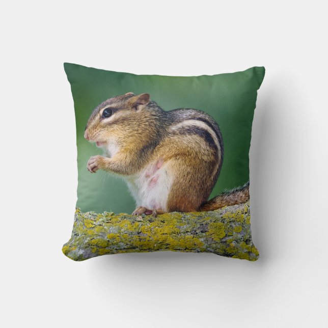 Mama Chipmunk Cushion (Front)
