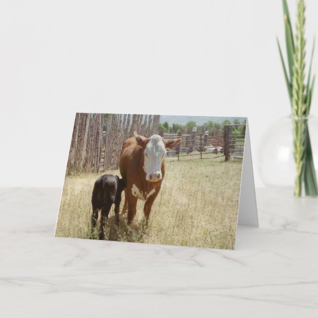 Mama Cow And Calf Thank You Card (Front)