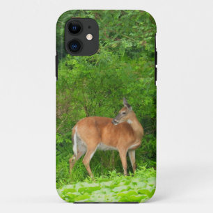 Mama Deer standing in Pond Case-Mate iPhone Case