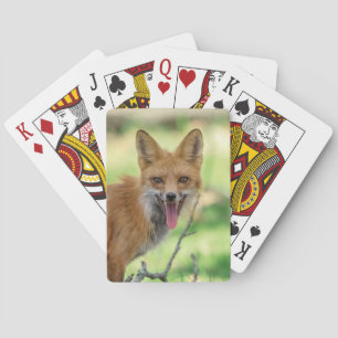 Mama Fox in the Hudson Valley Playing Cards