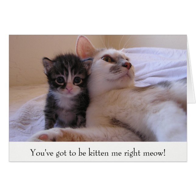 Mama & Kitten (Front Horizontal)