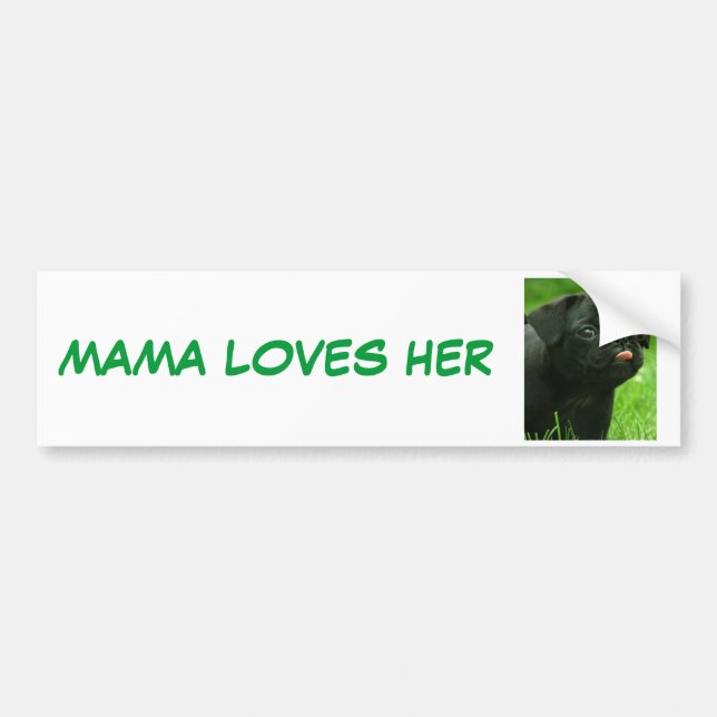 MAMA LOVES HER PUGS BUMPER STICKER (Front)