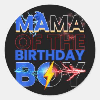 Mama Of The Birthday Boy Hedgehog Family Party Dec Classic Round Sticker