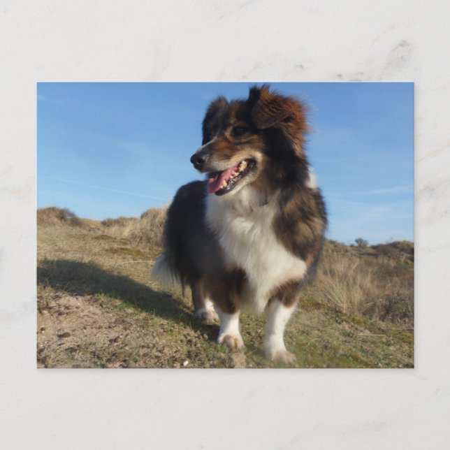 Mama Postcard (Front)