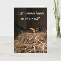 Mama Robin Get Well