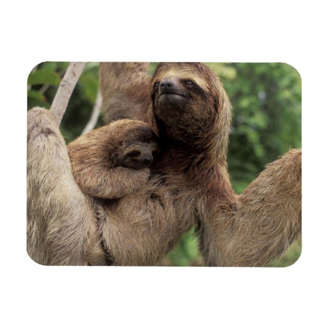 Mama Sloth And Baby Magnet (Horizontal)