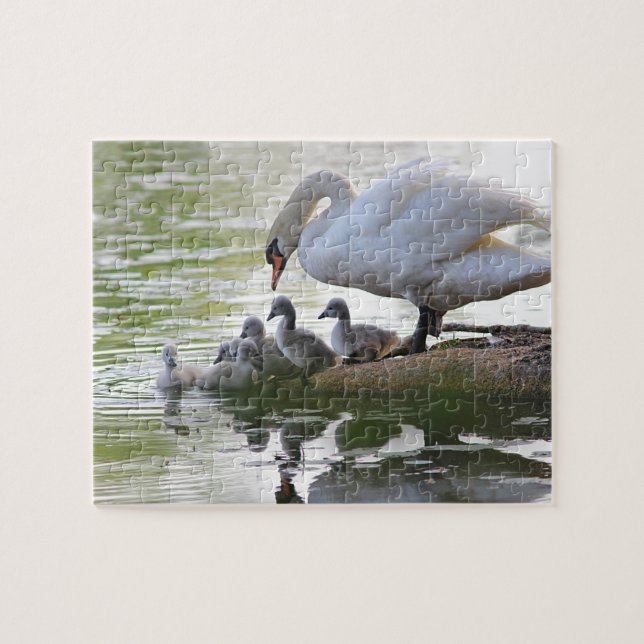Mama Swan and her seven cygnets Jigsaw Puzzle (Horizontal)