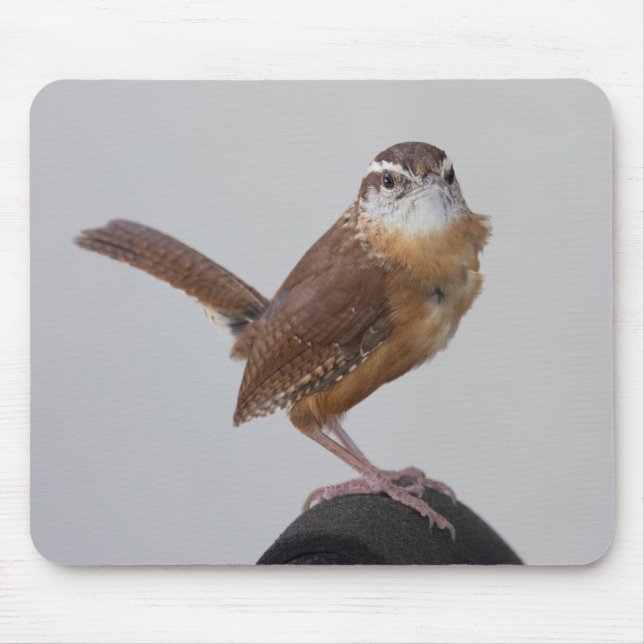Mama Wren Mouse Pad (Front)