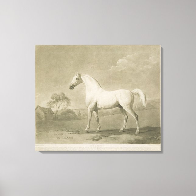 Mambrino, after George Stubbs, 1788 (mezzotint) Canvas Print (Front)