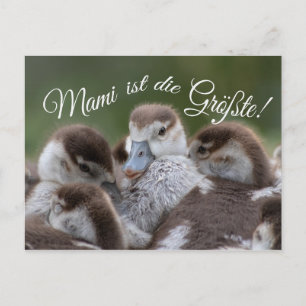 Mami ist die Größte! Postcard