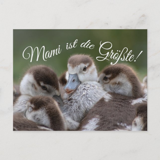 Mami ist die Größte! Postcard (Front)