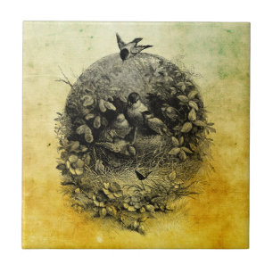 Mamma and Baby birds in nest vintage art  Tile