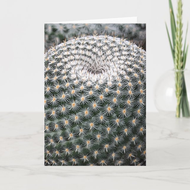 Mammillaria elegans notecard (Front)
