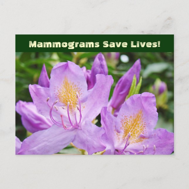 Mammograms Save Lives! postcards Flowers (Front)