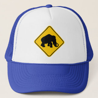Mammoth Crossing Trucker Hat