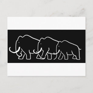 Mammoth Family Postcard
