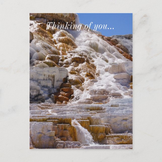 Mammoth Hot Springs Postcard (Front)