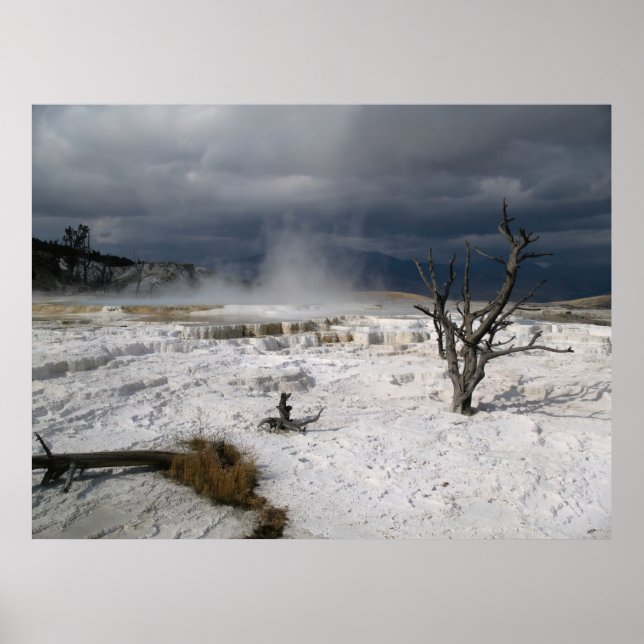 Mammoth Hot Springs Poster (Front)