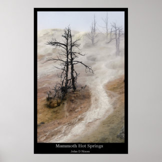 Mammoth Hot Springs  Poster