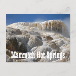 Mammoth Hot Springs, Yellowstone National Park Postcard