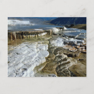 Mammoth Hot Springs, Yellowstone National Park, Wy Postcard