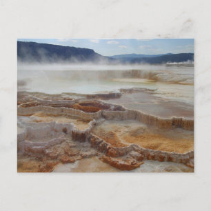 Mammoth Hot Springs Yellowstone Postcard