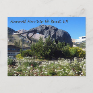 Mammoth Mountain Ski Resort, CA Postcard