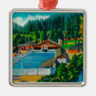 Mammoth Pool at Sol Duc Hot Springs Metal Tree Decoration