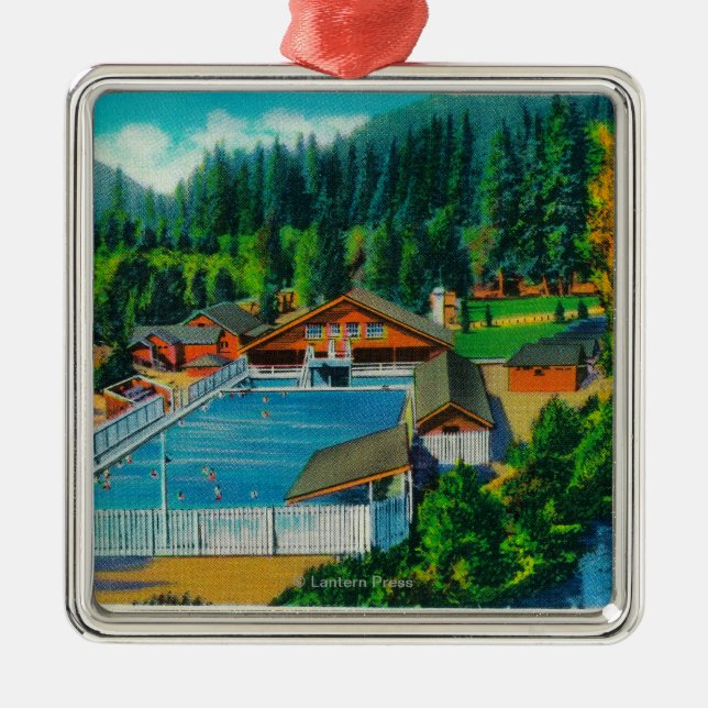 Mammoth Pool at Sol Duc Hot Springs Metal Tree Decoration (Front)