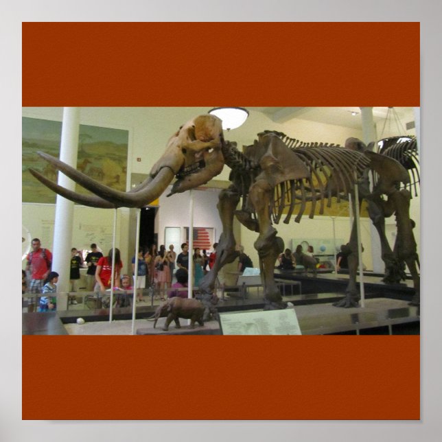 Mammoth! Poster (Front)