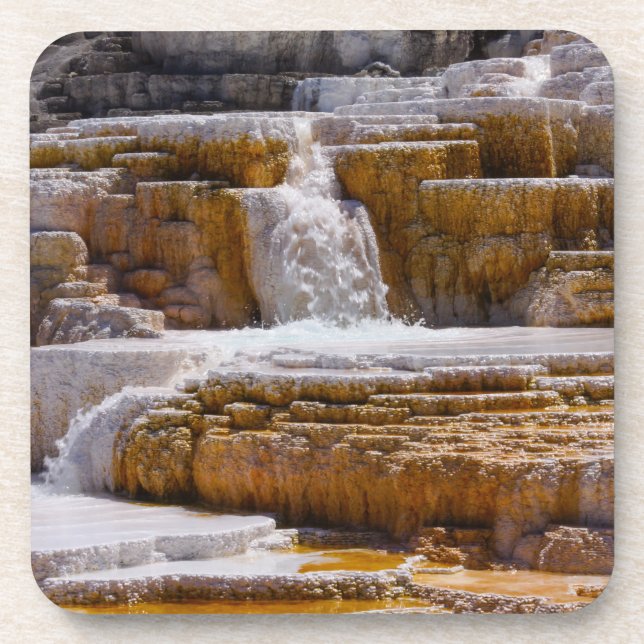 Mammoth Springs Falls Coaster (Front)