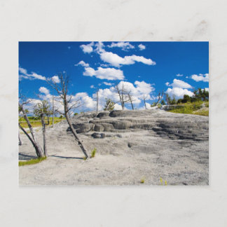 Mammoth Springs Postcard