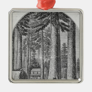 Mammoth tree grove in the Valley of the Metal Tree Decoration