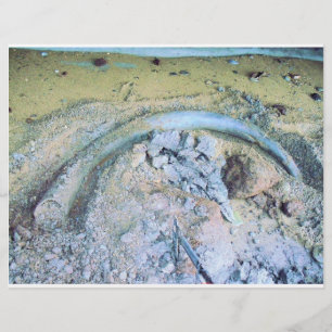 mammoth tusk (2) flyer