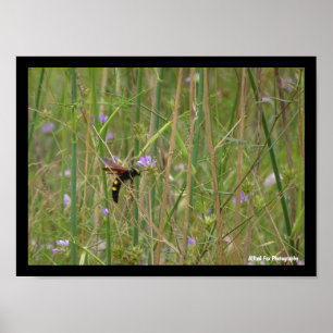 Mammoth Wasp in Flight Poster