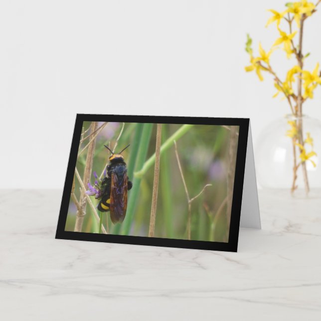 Mammoth Wasp on Stalk Card (Yellow Flower)