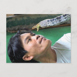 Man and Snake Postcard