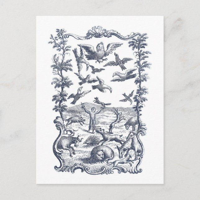 Man, Birds, and Other Animals 1776 Etching Postcard (Front)