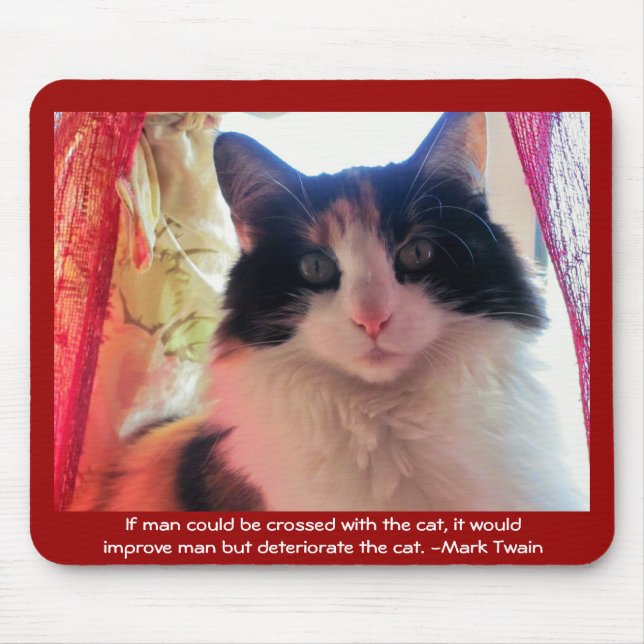 Man crossed with calico? mouse pad (Front)