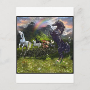 Man From Snowy River Postcard